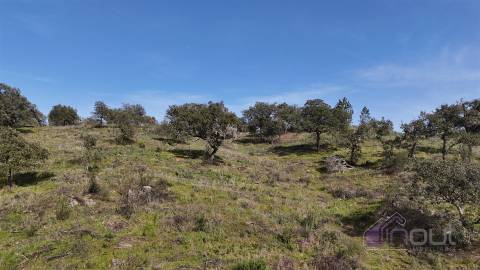 Terreno Rústico com 39.000m² – Potencial para Construção, Agricultura ou Lazer, com Vista Panorâmica