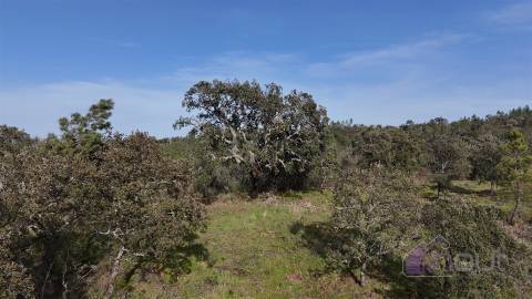 Terreno Rústico com 39.000m² – Potencial para Construção, Agricultura ou Lazer, com Vista Panorâmica