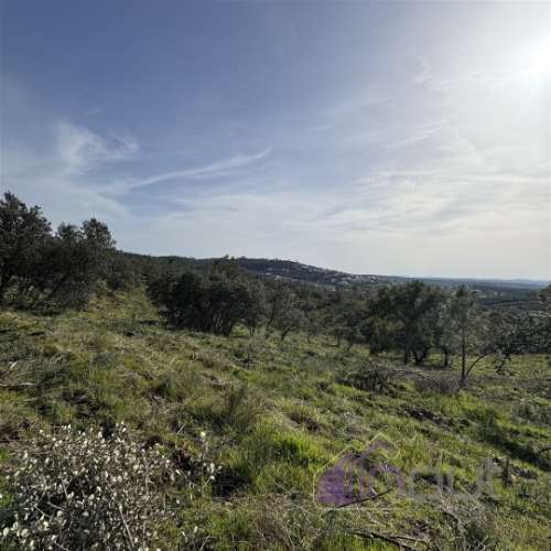 Terreno Rústico com 39.000m² – Potencial para Construção, Agricultura ou Lazer, com Vista Panorâmica