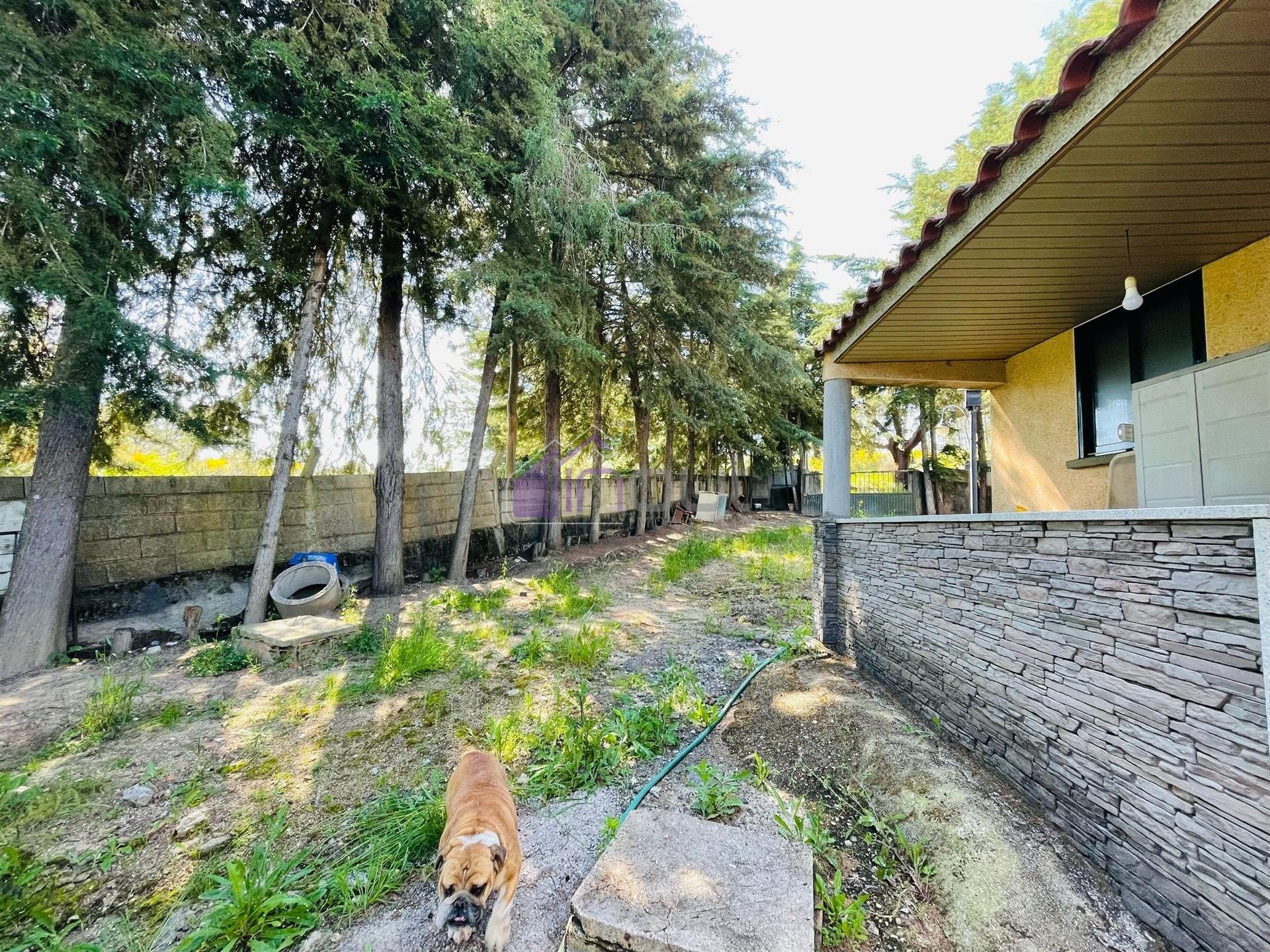 Quinta T3 com 1,5 ha em Palvarinho – Tranquilidade e Conforto a 5 Minutos de Castelo Branco