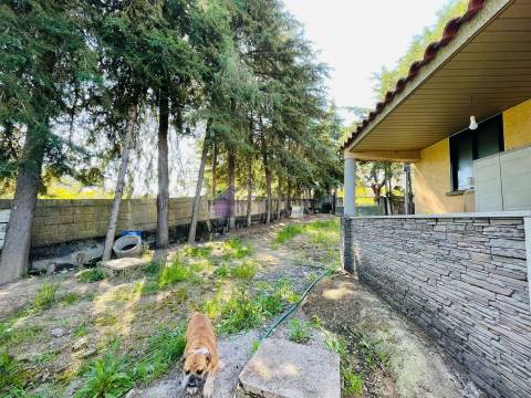 Quinta T3 com 1,5 ha em Palvarinho – Tranquilidade e Conforto a 5 Minutos de Castelo Branco