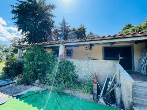 Quinta T3 com 1,5 ha em Palvarinho – Tranquilidade e Conforto a 5 Minutos de Castelo Branco