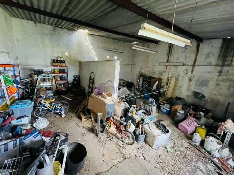 Quinta T3 com 1,5 ha em Palvarinho – Tranquilidade e Conforto a 5 Minutos de Castelo Branco