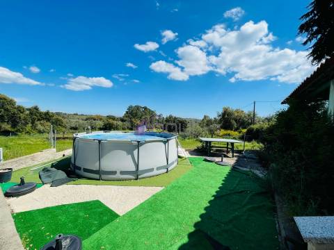 Quinta T3 com 1,5 ha em Palvarinho – Tranquilidade e Conforto a 5 Minutos de Castelo Branco