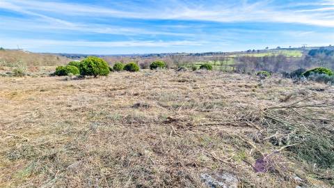 Terreno com eletricidade e água a 7 minutos da Guarda