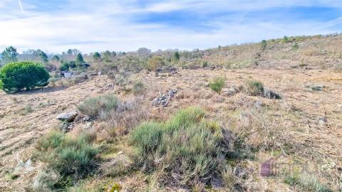 Terreno com eletricidade e água a 7 minutos da Guarda