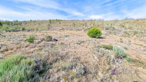 Terreno com eletricidade e água a 7 minutos da Guarda