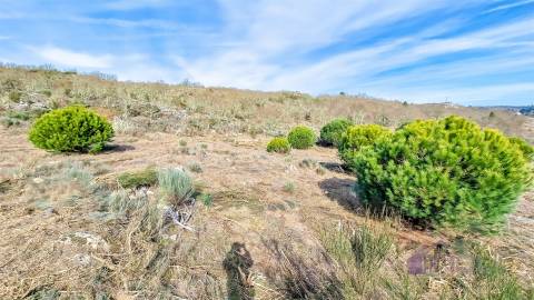 Terreno com eletricidade e água a 7 minutos da Guarda