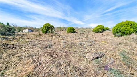 Terreno com eletricidade e água a 7 minutos da Guarda