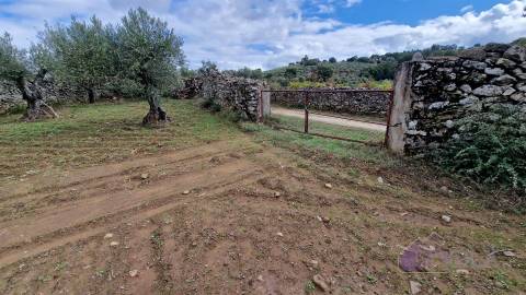 Terreno Rústico  Venda em Pinhel,Pinhel