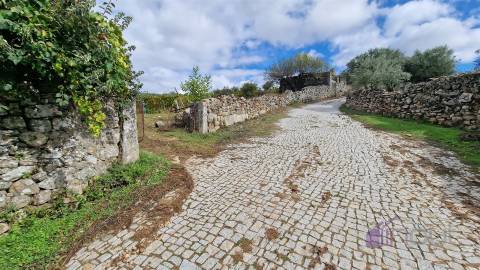 Terreno Rústico  Venda em Pinhel,Pinhel