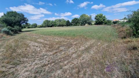 Terreno Rústico  Venda em Souro Pires,Pinhel