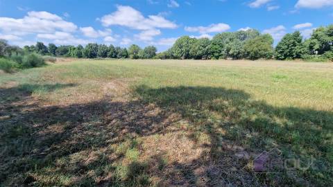 Terreno Rústico  Venda em Souro Pires,Pinhel