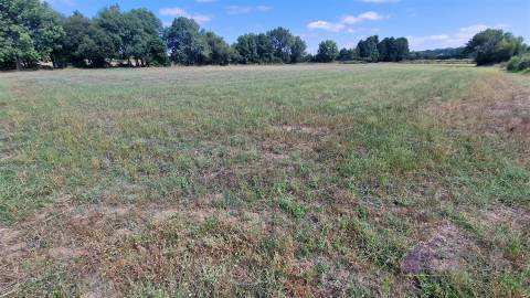 Terreno Rústico  Venda em Souro Pires,Pinhel