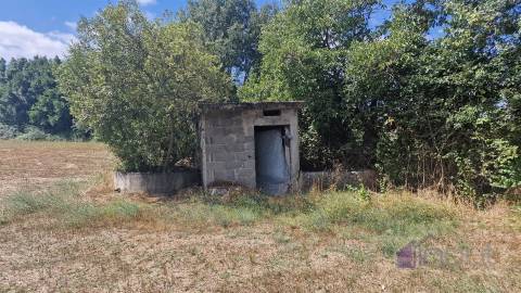 Terreno Rústico  Venda em Souro Pires,Pinhel