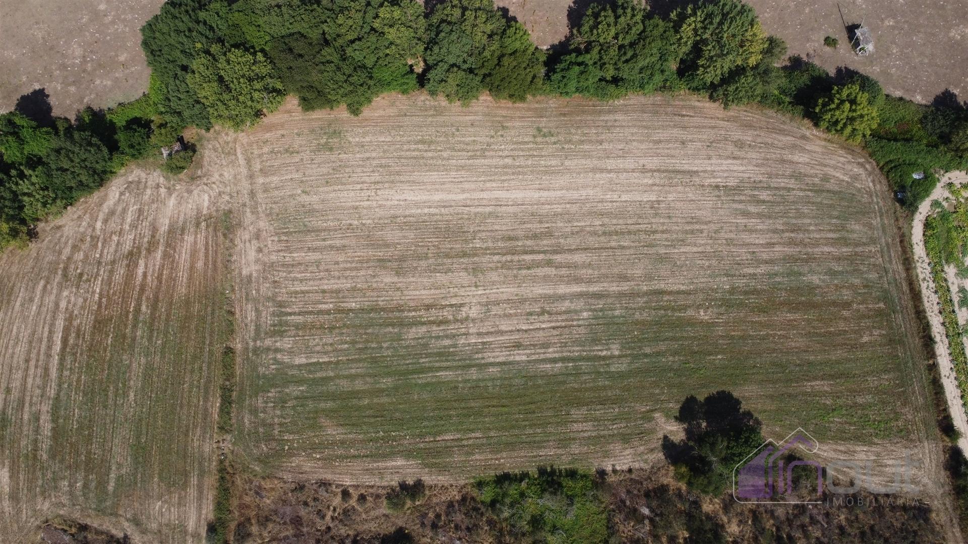 Terreno Rústico  Venda em Souro Pires,Pinhel