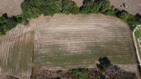 Terreno Rústico  Venda em Souro Pires,Pinhel