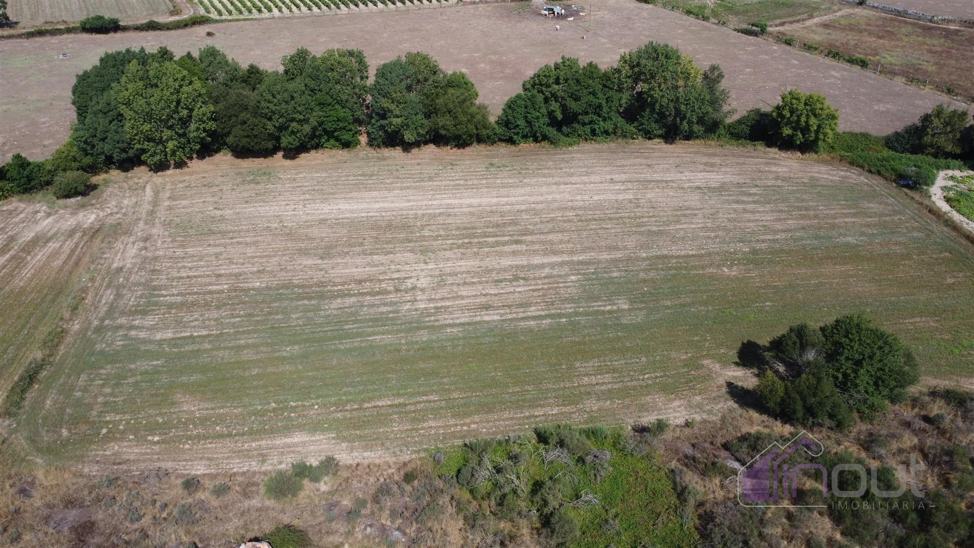 Terreno Rústico  Venda em Souro Pires,Pinhel