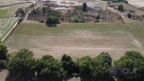 Terreno Rústico  Venda em Souro Pires,Pinhel