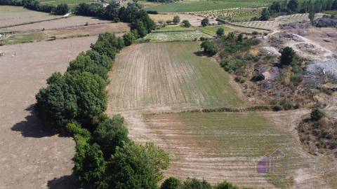 Terreno Rústico  Venda em Souro Pires,Pinhel