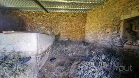 Terreno Rústico  Venda em Pinhel,Pinhel