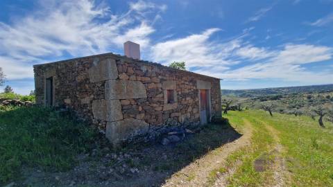 Terreno Rústico  Venda em Pinhel,Pinhel