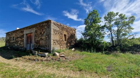 Terreno Rústico  Venda em Pinhel,Pinhel