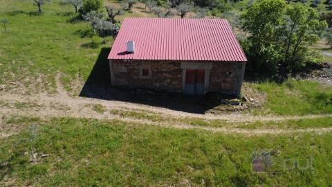 Terreno Rústico  Venda em Pinhel,Pinhel