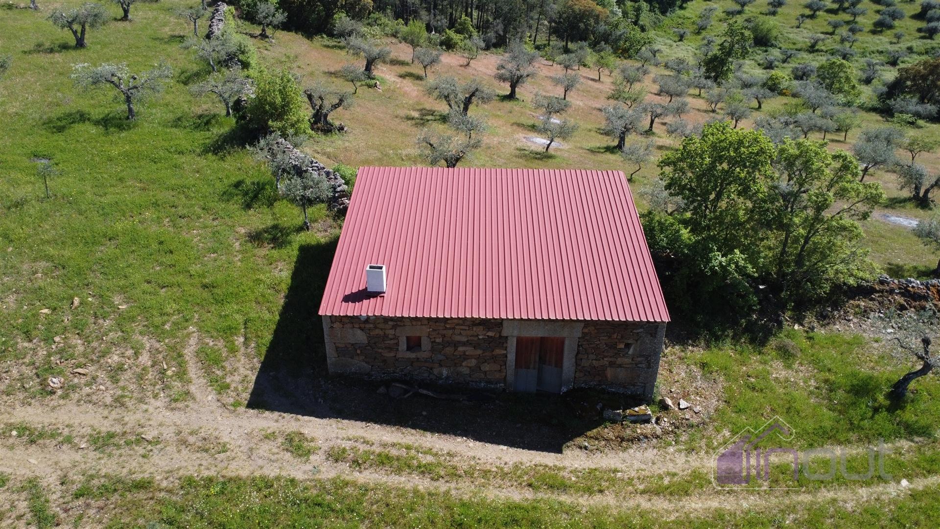 Terreno Rústico  Venda em Pinhel,Pinhel