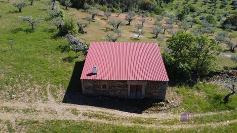 Terreno Rústico  Venda em Pinhel,Pinhel