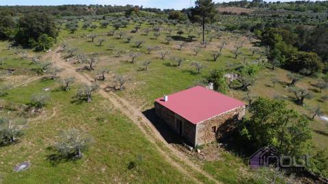 Terreno Rústico  Venda em Pinhel,Pinhel