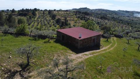 Terreno Rústico  Venda em Pinhel,Pinhel
