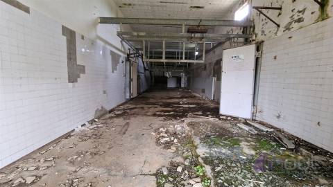 Terreno urbano/Quinta/Complexo industrial