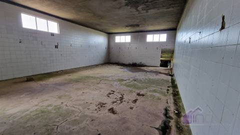 Terreno urbano/Quinta/Complexo industrial