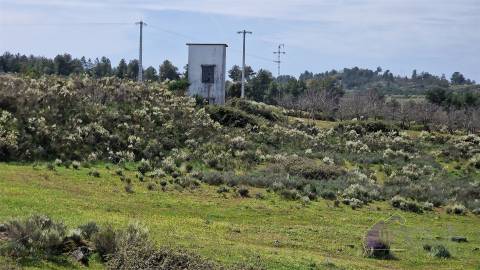 Terreno urbano/Quinta/Complexo industrial