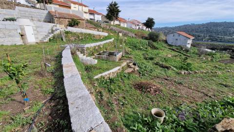 Terreno Para Construção  Venda em Pinhel,Pinhel
