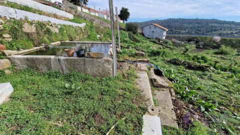 Terreno Para Construção  Venda em Pinhel,Pinhel