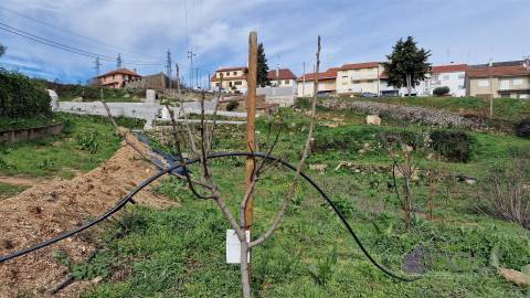 Terreno Para Construção  Venda em Pinhel,Pinhel