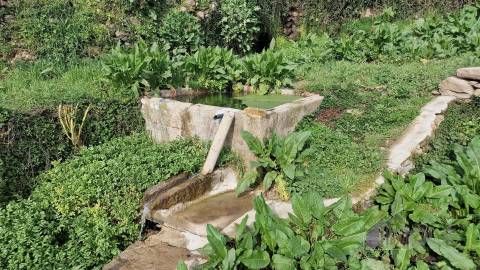 Terreno Para Construção  Venda em Pinhel,Pinhel