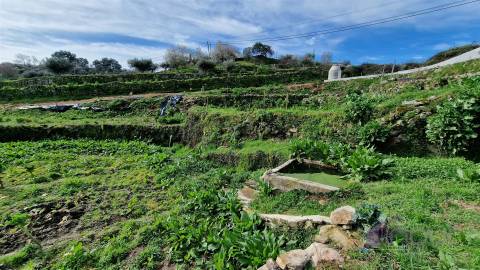 Terreno Para Construção  Venda em Pinhel,Pinhel