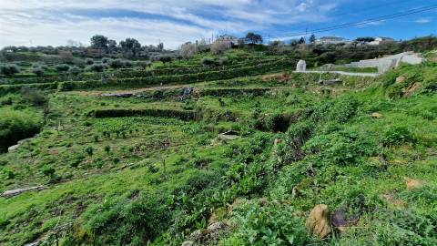Terreno Para Construção  Venda em Pinhel,Pinhel