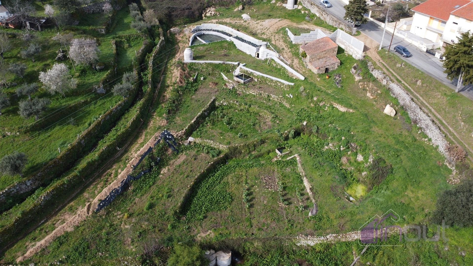 Terreno Para Construção  Venda em Pinhel,Pinhel