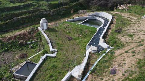 Terreno Para Construção  Venda em Pinhel,Pinhel