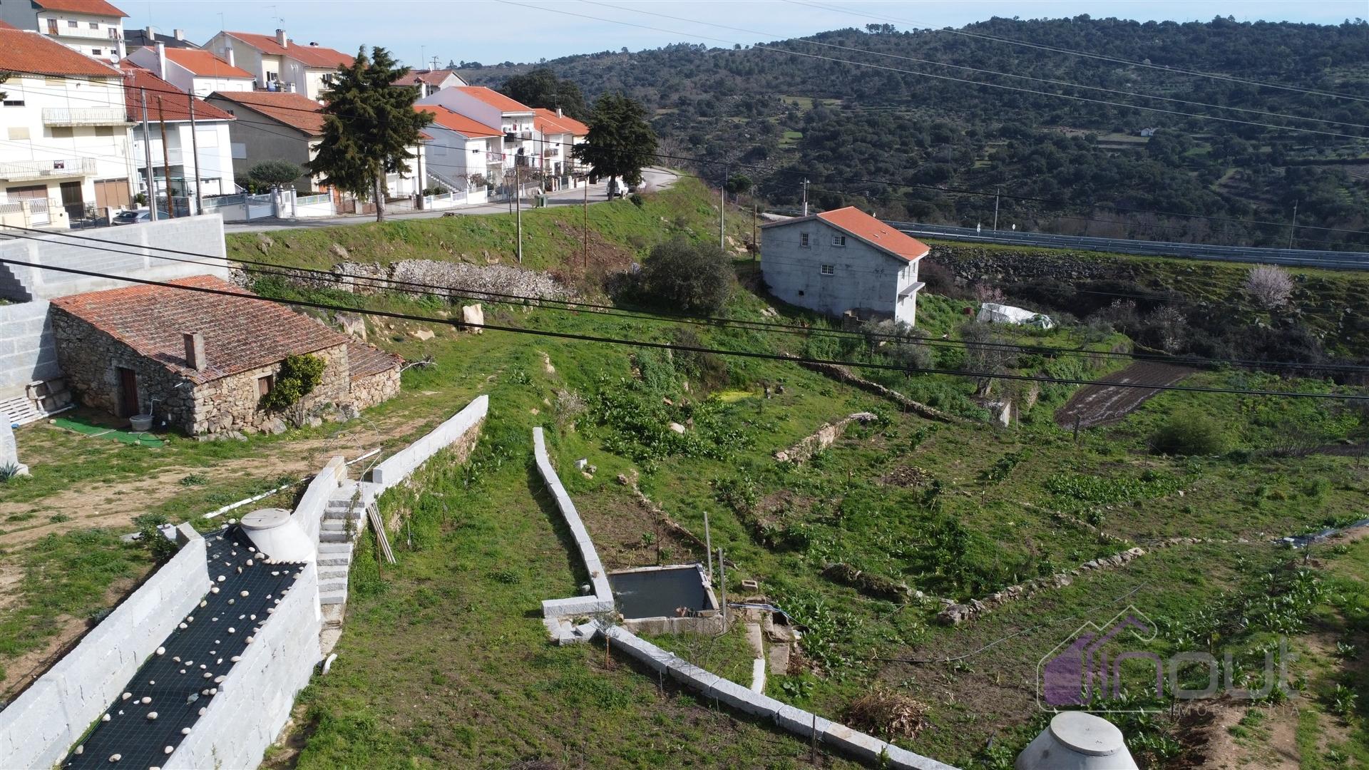 Terreno Para Construção  Venda em Pinhel,Pinhel