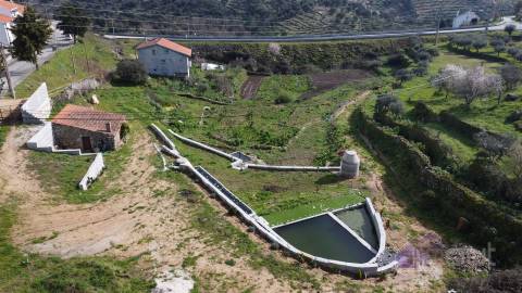 Terreno Para Construção  Venda em Pinhel,Pinhel