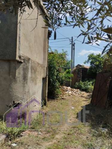 Conjunto de Moradias e Ruínas Urbanas para Reconstrução – Terreno de 6.000m² com Água, Eletricidade
