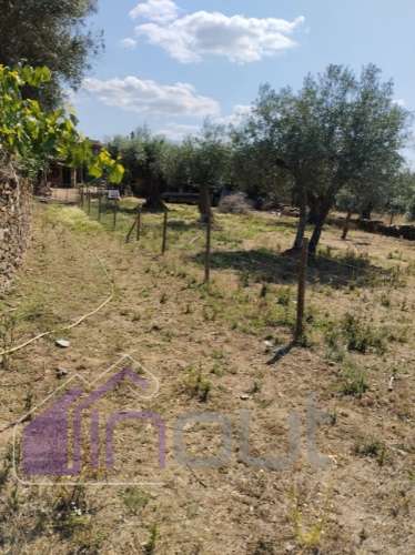 Conjunto de Moradias e Ruínas Urbanas para Reconstrução – Terreno de 6.000m² com Água, Eletricidade