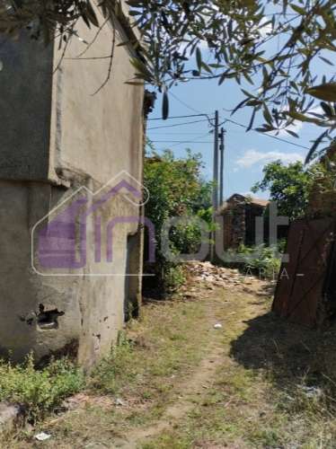 Conjunto de Moradias e Ruínas Urbanas para Reconstrução – Terreno de 6.000m² com Água, Eletricidade