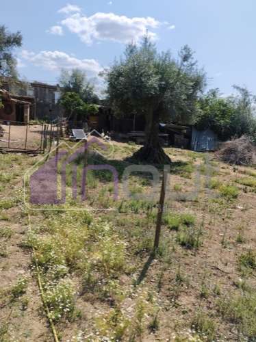 Conjunto de Moradias e Ruínas Urbanas para Reconstrução – Terreno de 6.000m² com Água, Eletricidade