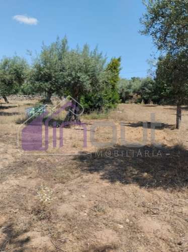 Conjunto de Moradias e Ruínas Urbanas para Reconstrução – Terreno de 6.000m² com Água, Eletricidade